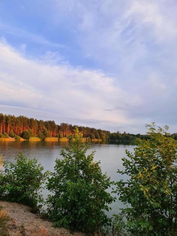 Agroturystyka U Siwego Rokitki  Εξωτερικό φωτογραφία