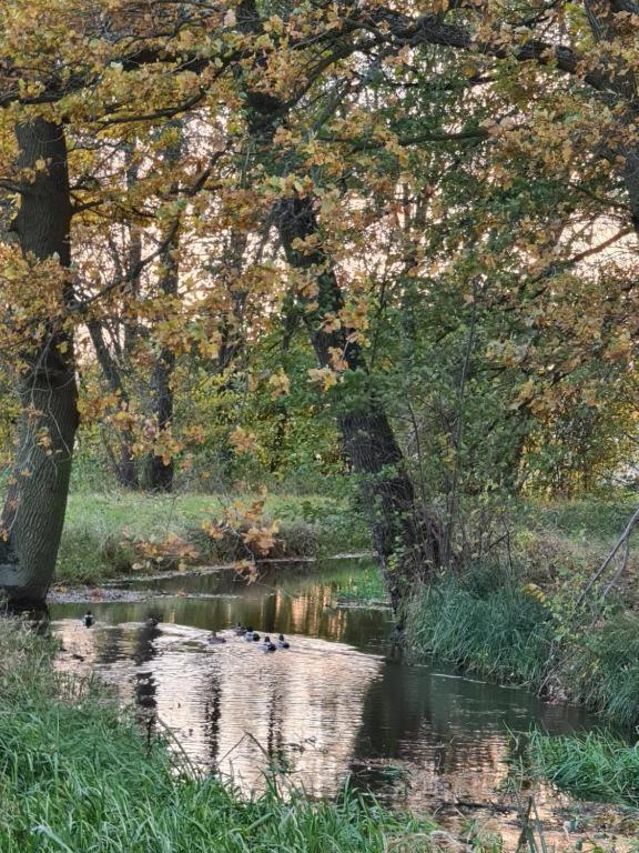 Agroturystyka U Siwego Rokitki  Εξωτερικό φωτογραφία